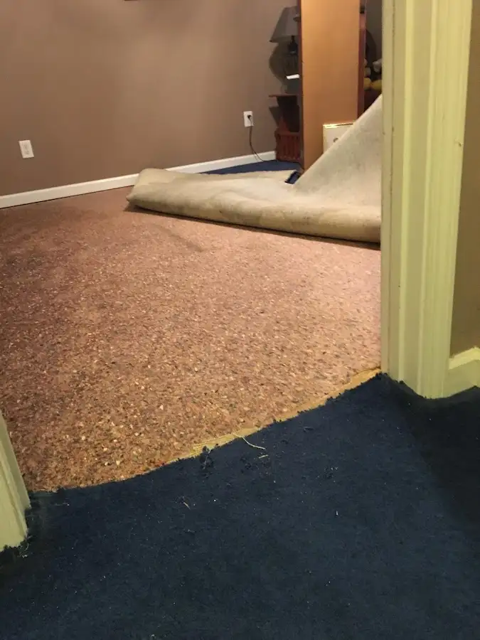 Carpet pad removal revealing water damage during Water Mitigation Services in Colonial Heights