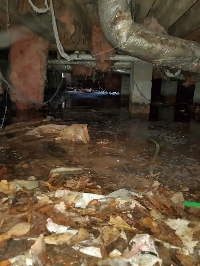 Crawl space flood assessment for Leak Detection & Repair in Colonial Heights