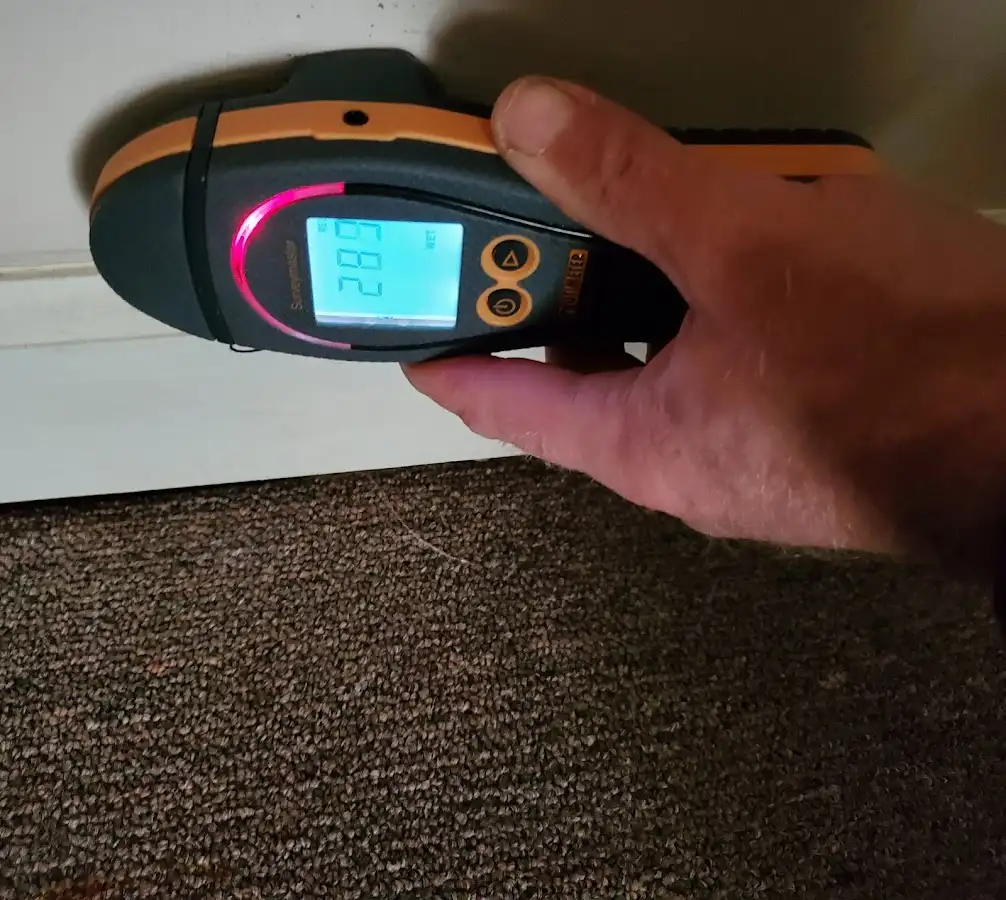 Moisture detection at baseboard during Sewage Cleanup & Sanitation in Colonial Heights